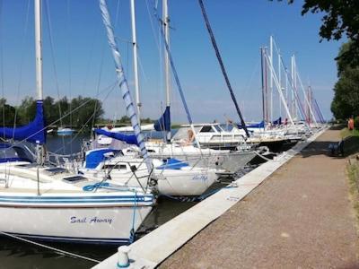 Sonniges Ferienhaus Fischer-Huus Vor Usedom & Direkt Am Haff Und Wasserzugang Monkebude Exterior photo
